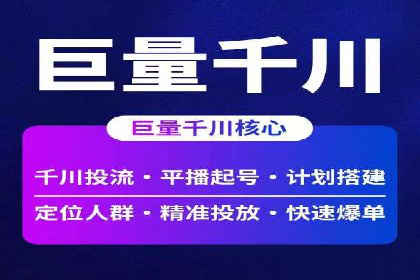 SEM竞价技巧：成功案例揭秘